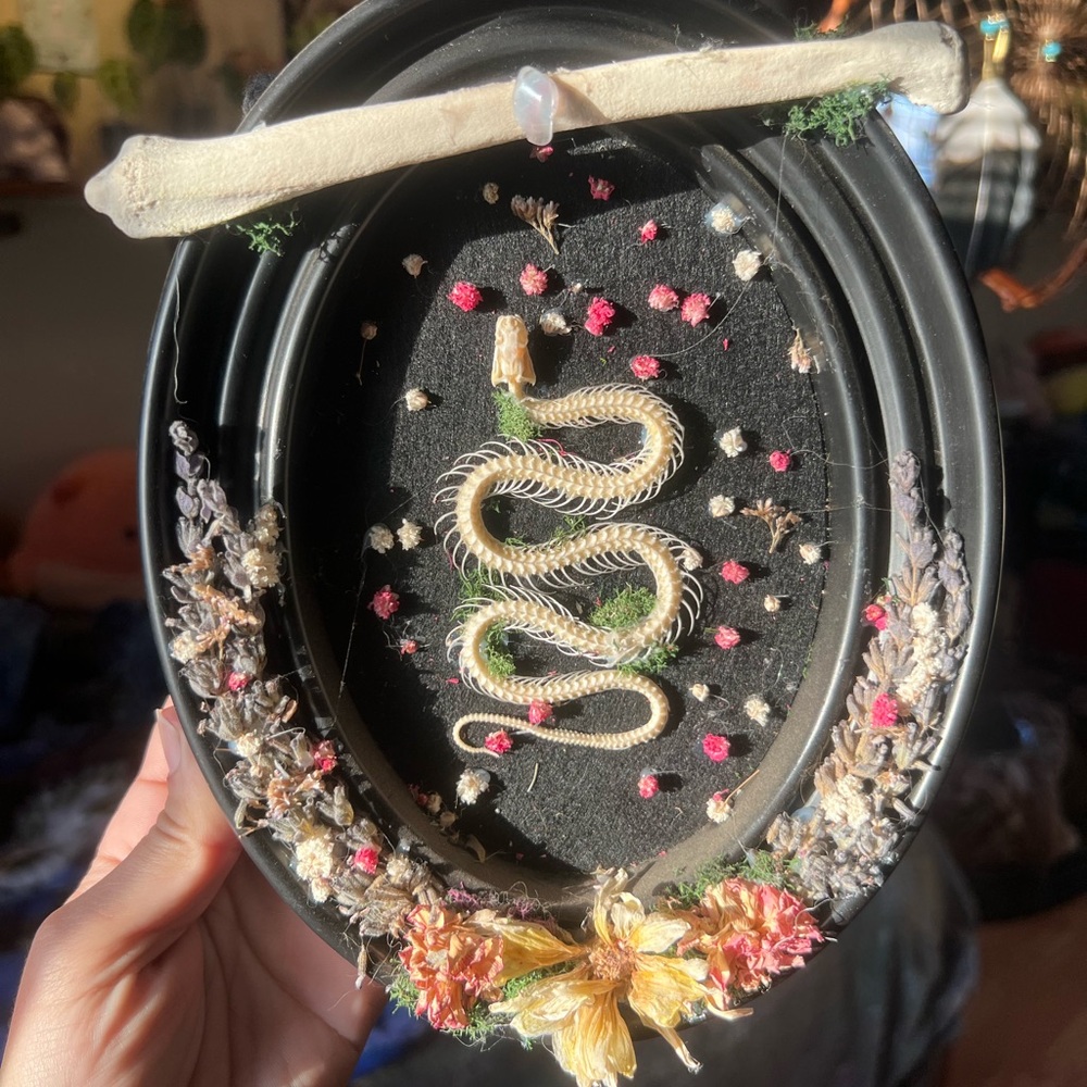Decorative Snake Skeleton Art Piece